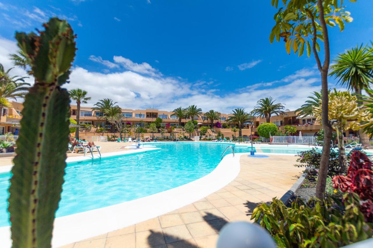 Apartment Pool View