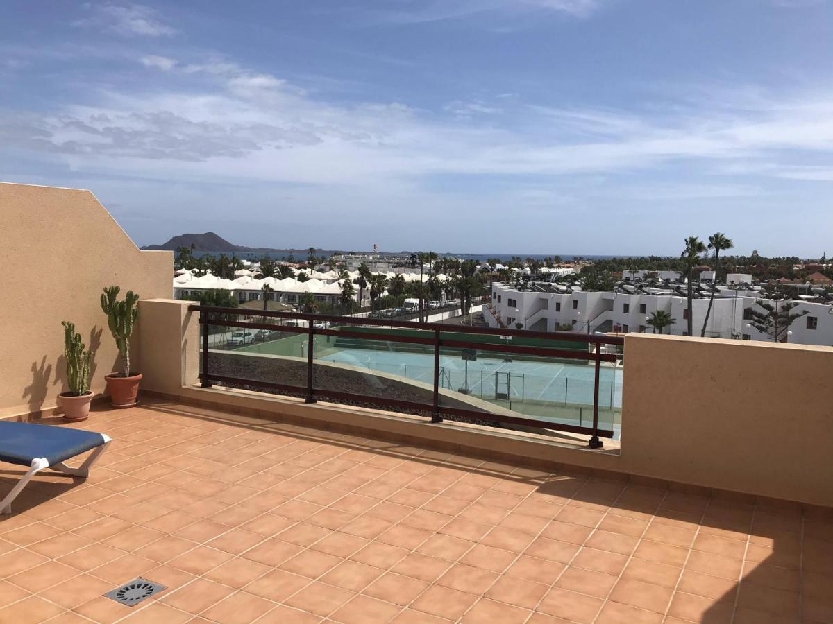 Apartment Terrace