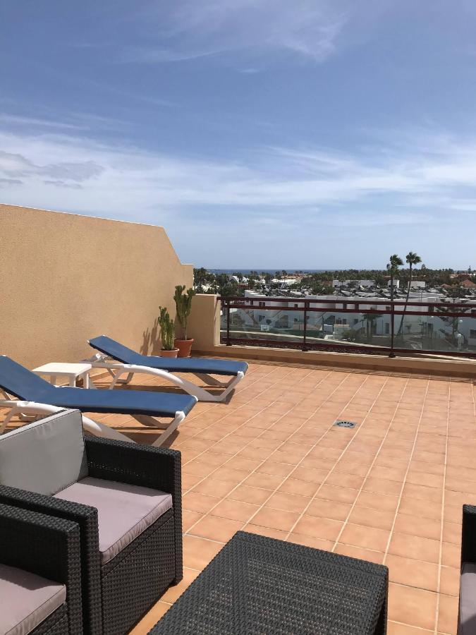 Apartment Terrace