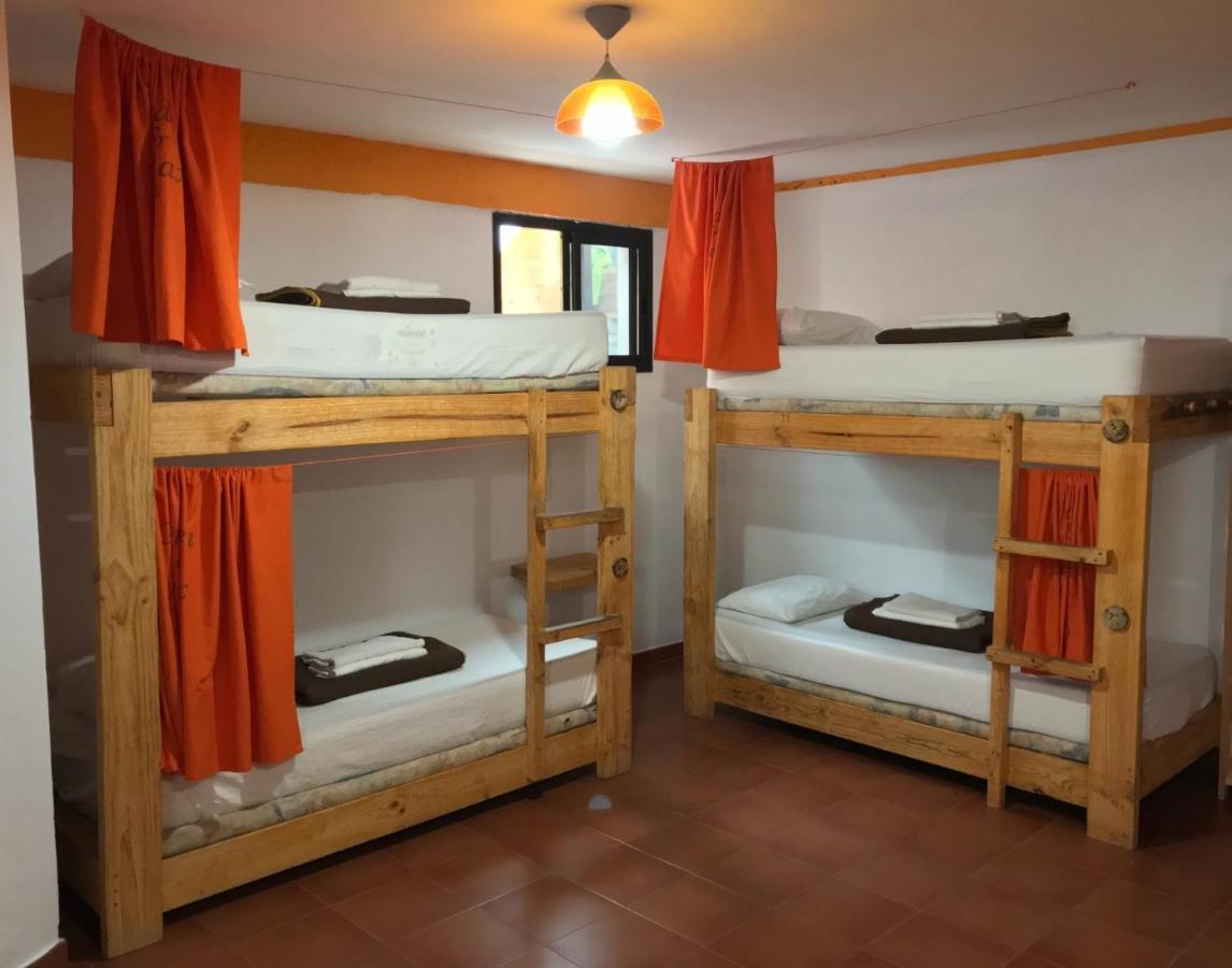10-Bed Mixed Dormitory Room