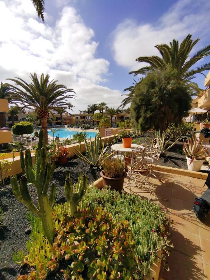 Apartment Terrace