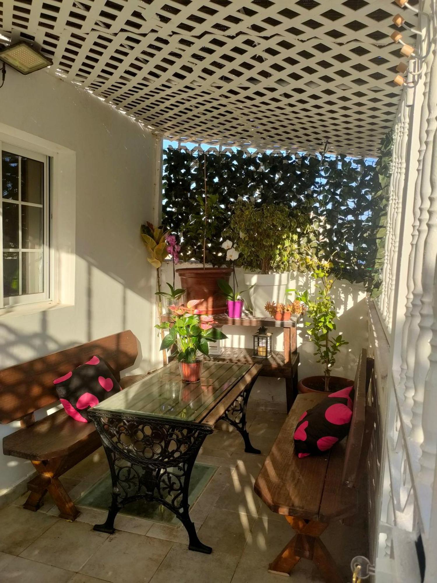 Apartment Terrace