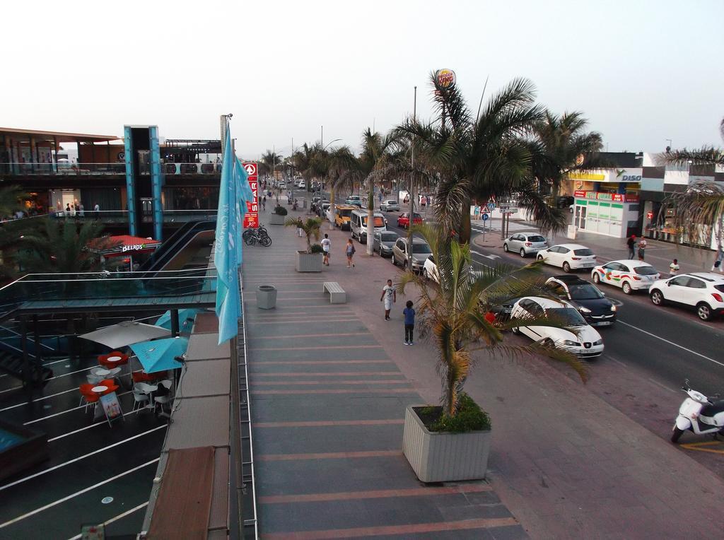 Apartment with Terrace,406634466:JPEG