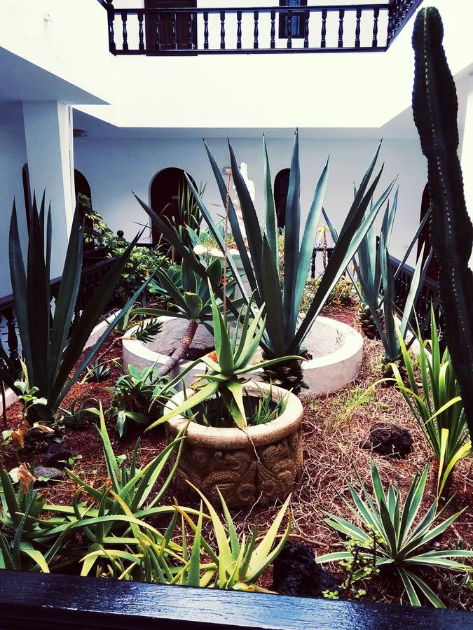 Holiday Home,726778168:JPEG