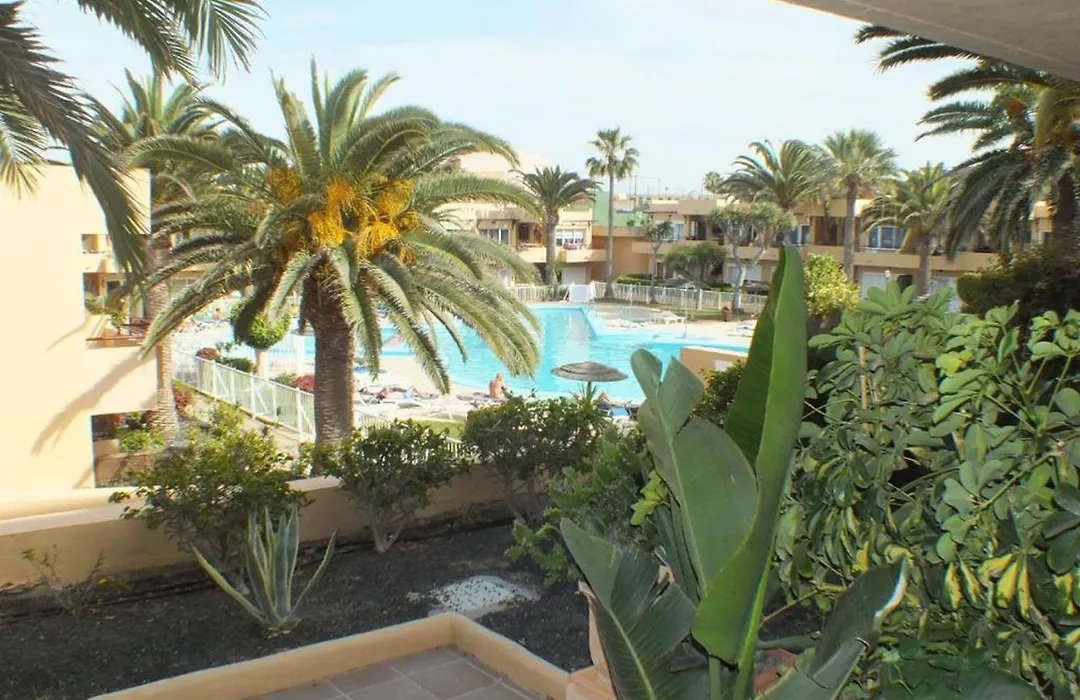 Pool View & Terrace Apartments-1