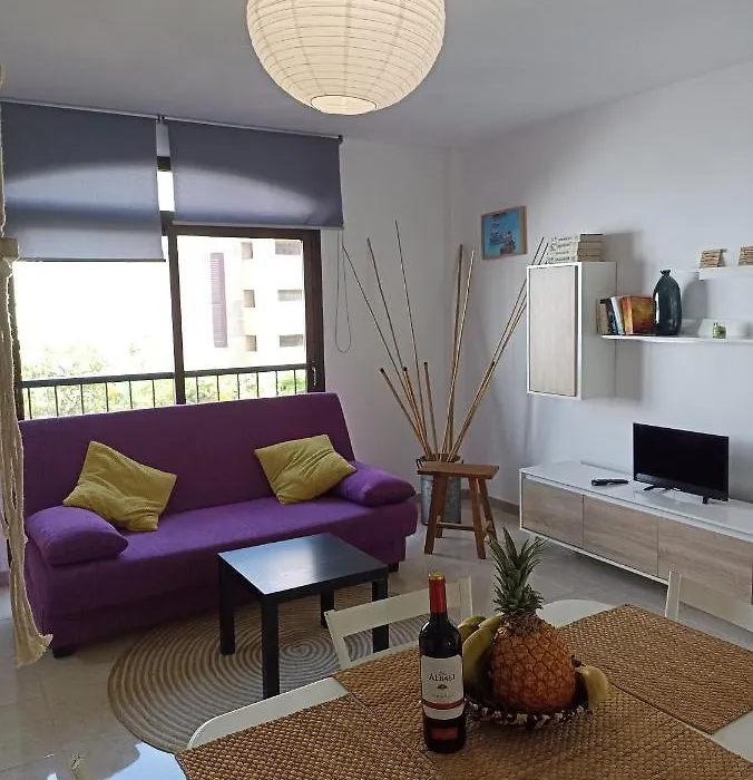 Apartamentos El Carmen-1