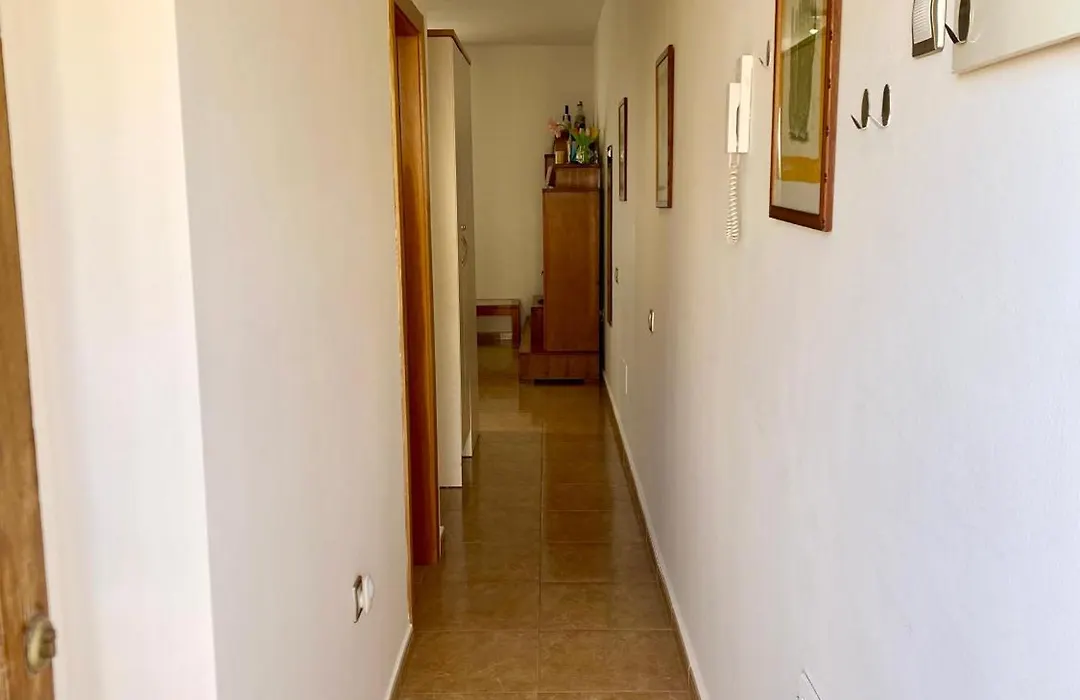 The Summer Treat Shared Apartment Compartido-1