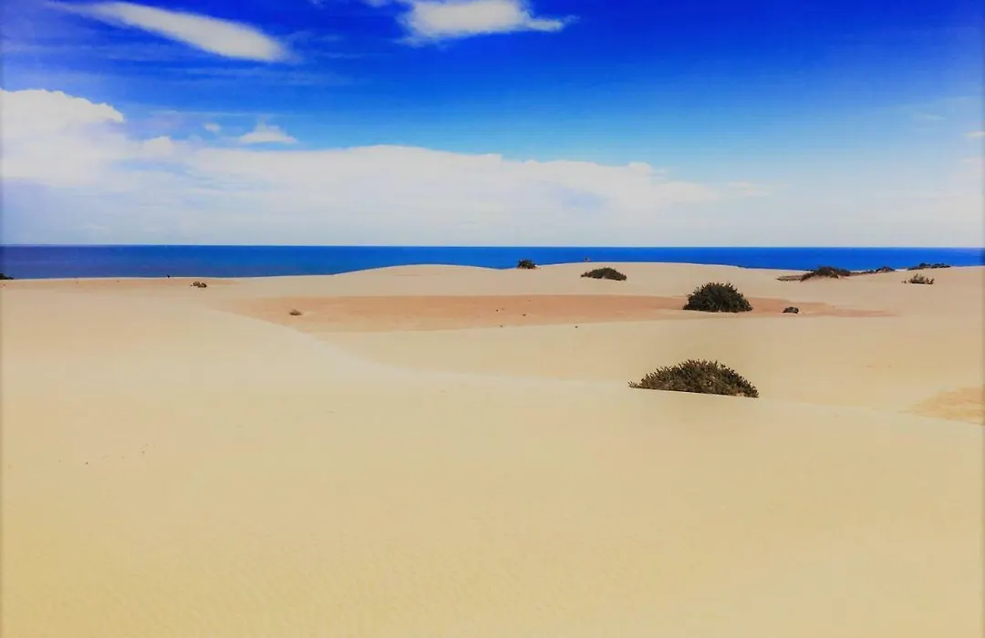 Corralejo Sun 202-1