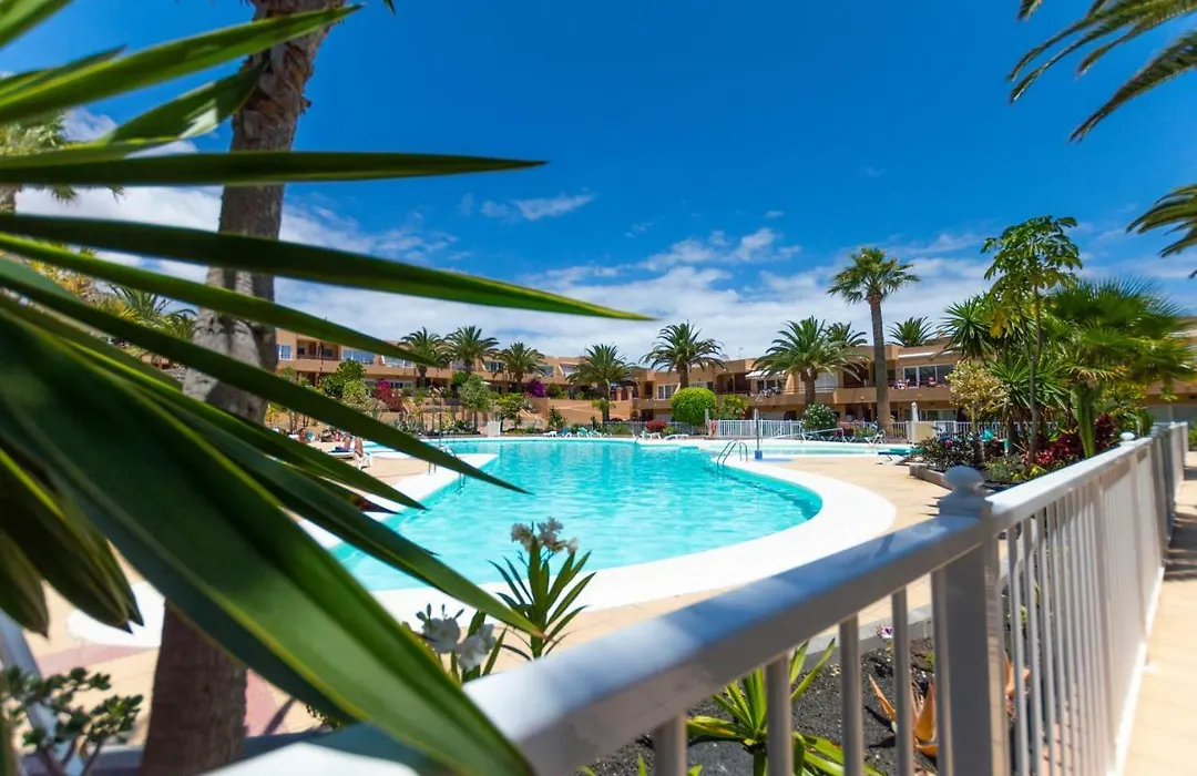 Alicebungalowpoolview-Summer-1