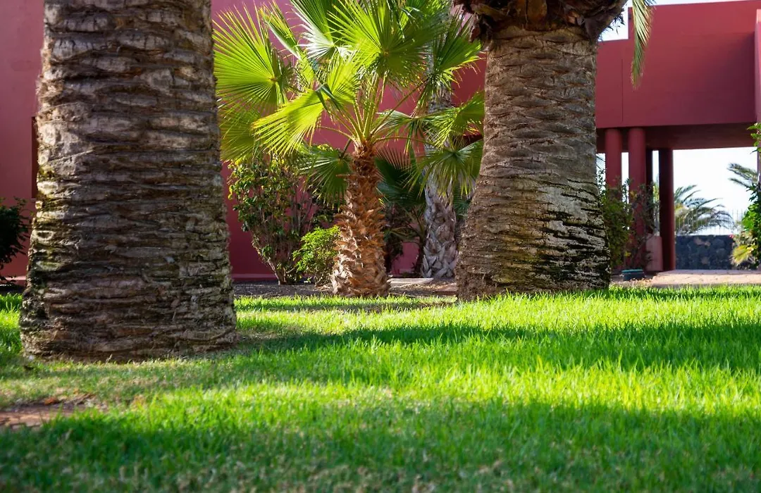 El Jasmine-1