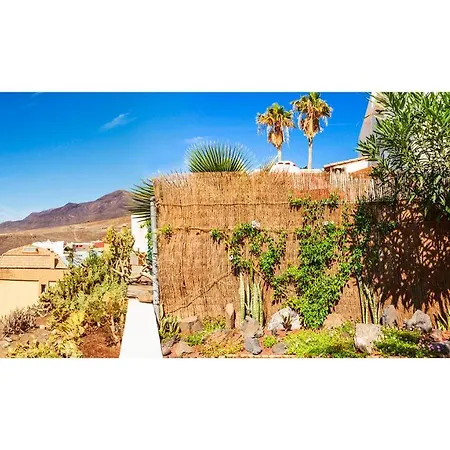 Casa Tortuga-3