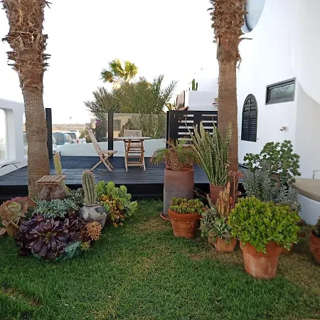Alana Cotillo Garden 1-2