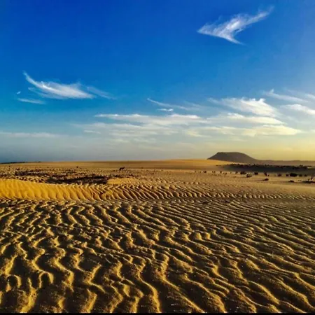 Desert Of Love-2