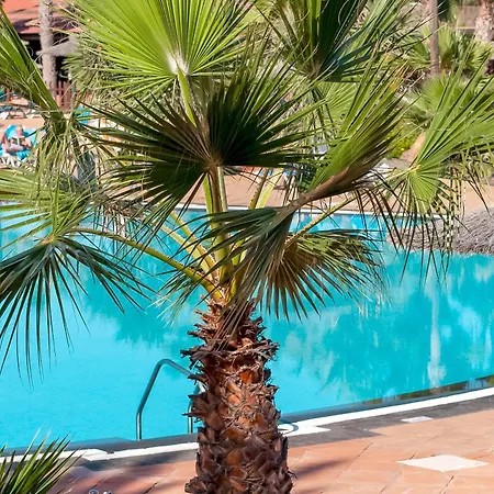 Fuerteventurapartments-2