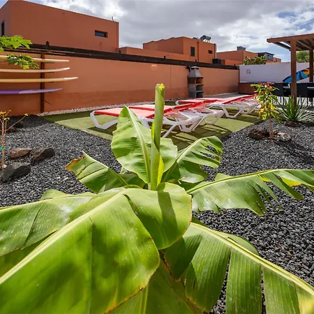 Sunrise Surf House, Big Garden, Hot Tub, Parking, Super-Fast Free Wi-Fi-3