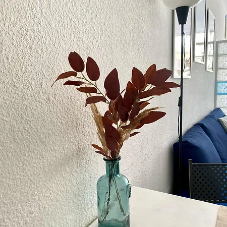 Arcadia Del Mar Apartment-3