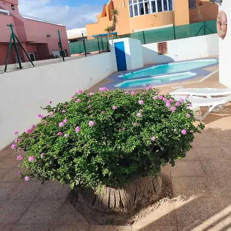 Vivienda Vacacional Alipatri-3