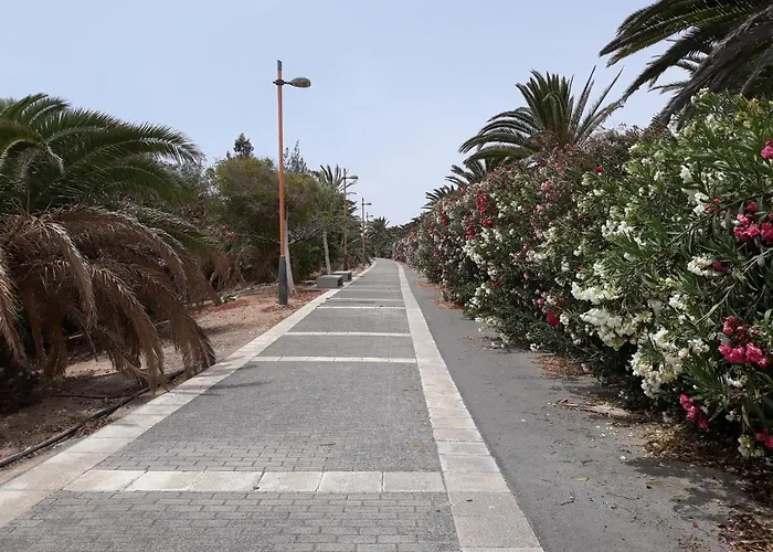 Framantis App No 6 Appartement Costa Calma