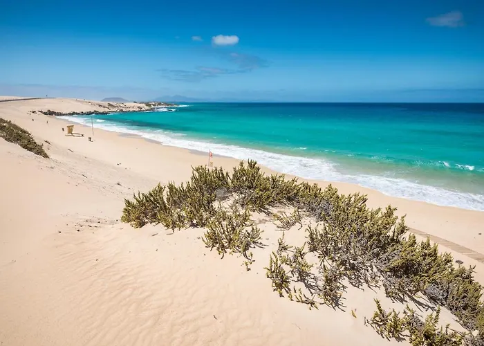 Home2Book Las Vistas Corralejo, Amazing Terrace