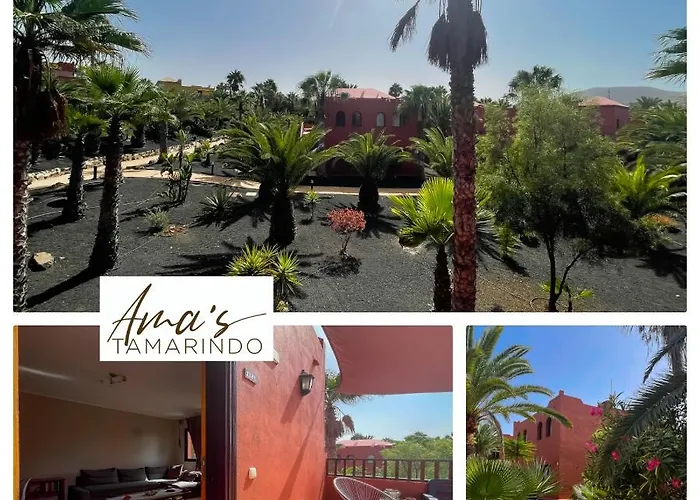 Rentalfue Tamarindo Amas Corralejo