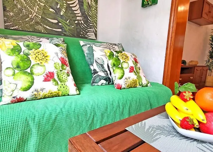 Huisdiervriedelijke Ferienwohnung Green Palm In Costa Calma