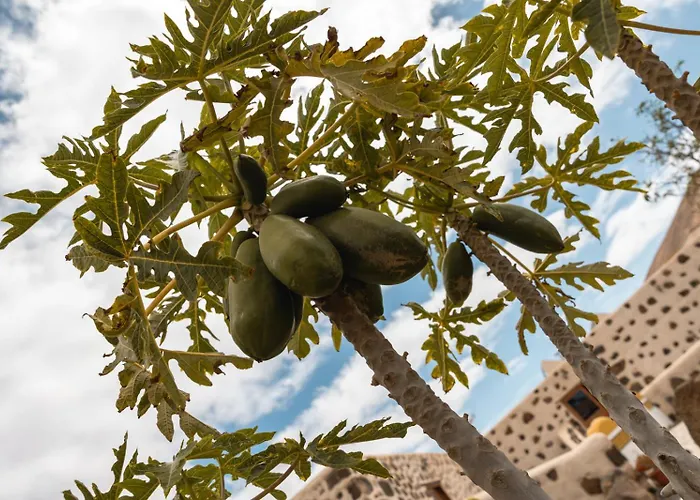 Hotels in Villaverde (Fuerteventura)