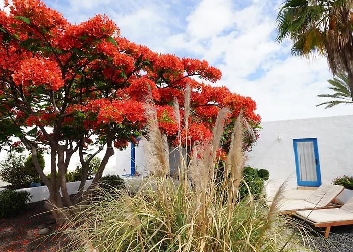Timfay Villa Corralejo