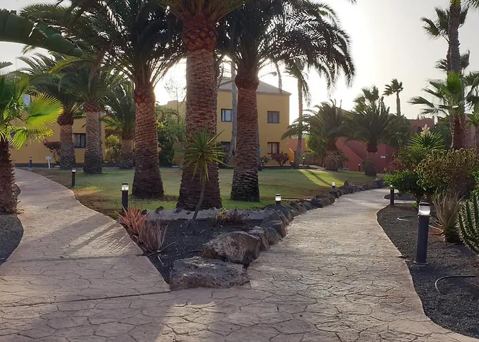 Apartamento Tamarindo I Piscinas de Agua Salada Corralejo admite animales